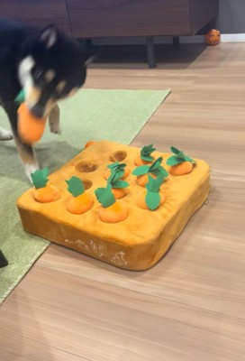 知育おもちゃで遊ぶくろべえ君2