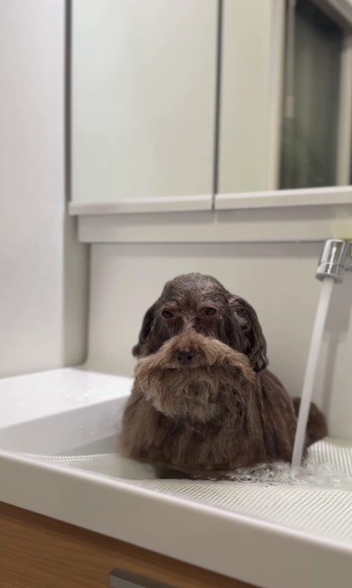 人生何週目ですか…!?