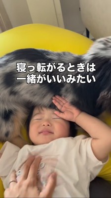 眠そうな幼児と一緒に寝る犬