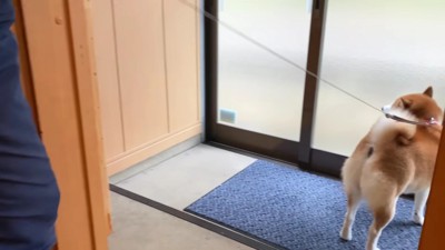 早く外に出たい…!