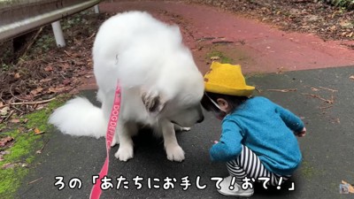 おやつを与えるろのちゃん