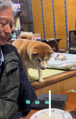 無視するお父さん