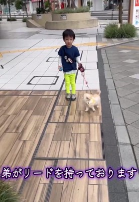 男の子を見るうにちゃん