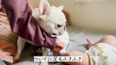 それでもそばを離れません