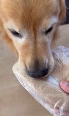 お手伝いするホット君9