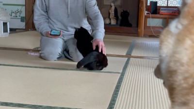 謎状況に爆笑