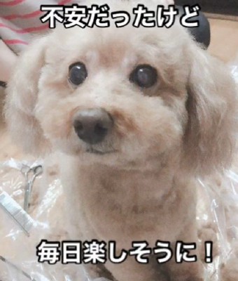 私でよかったのかな？