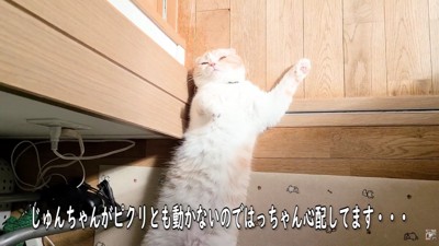 日向ぼっこをしてたら…