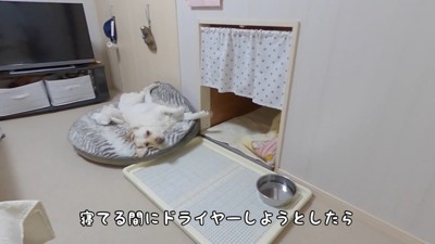 寝ている間に部屋から出たら…