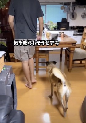 オヤツで気分転換を