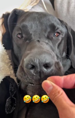 食欲ってすごい！