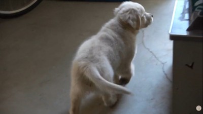 再び投稿者さんを探し始めました