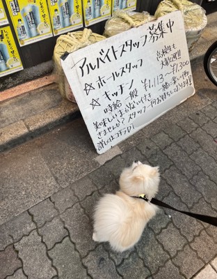 アルバイト募集