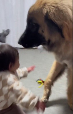 飛ばされちゃった!!