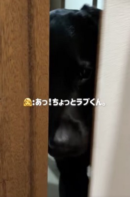 ガリッ！で開けてもらうことに成功