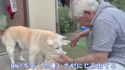 食事のサポート