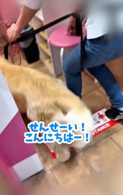 獣医師さんに挨拶