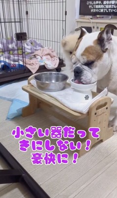 「とにかく豪快にっ」