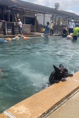 縁に手をかけるぶん太くん