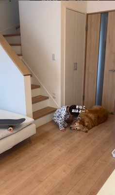 きなこちゃんと二度寝する男の子2