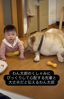 赤ちゃんにそっとお返事
