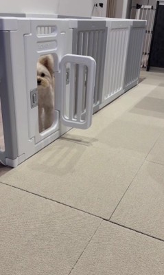 見てる！