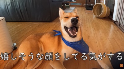 「涼しくて気持ちいい~!」