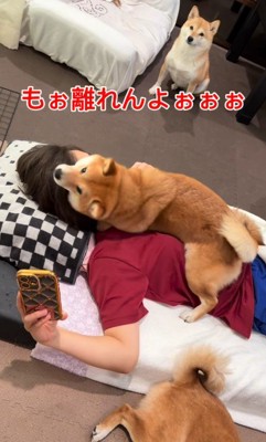 てんちゃんは全力で愛情表現♡
