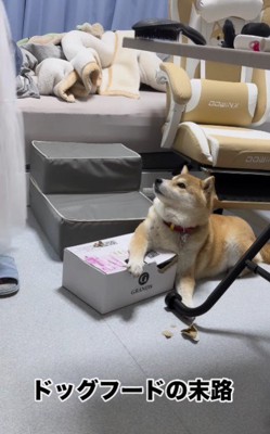 ママがやってきて…