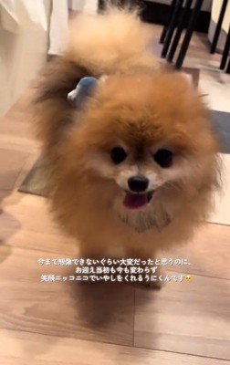 笑顔のうにくん