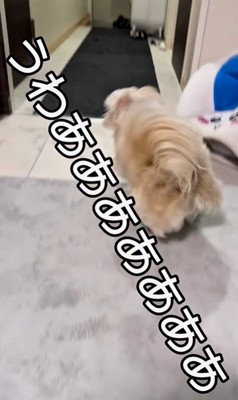 そあまるちゃんにキスしようとした時の反応9