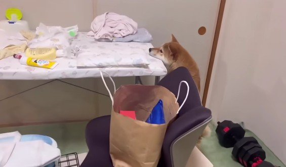 「え？もうここにいる？」