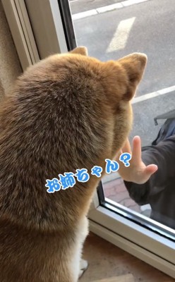 お姉ちゃんに気づいた朔くん