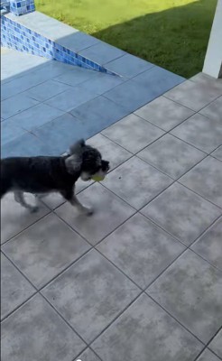 ボール遊び中のハプニング3