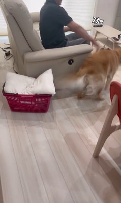 まるちゃんの熱烈歓迎6