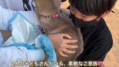 子どもに抱っこされる子犬