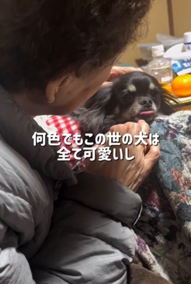 祖母に抱っこされる小型犬