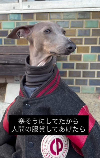 上着を貸してあげた