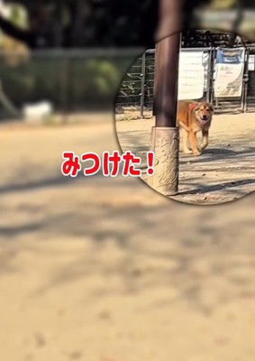 ママを見つけたラッキーくん