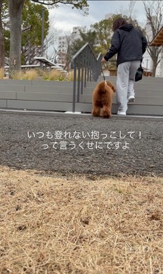 外の階段を登る時は…