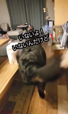 お姉ちゃんが帰省した時の眞秋くん4