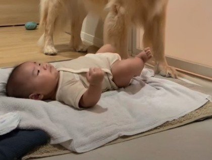 「お守りよろしくね」