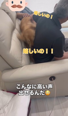 まるちゃんの熱烈歓迎8