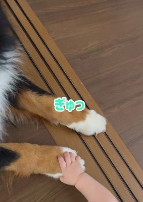 握手がしたい…♡