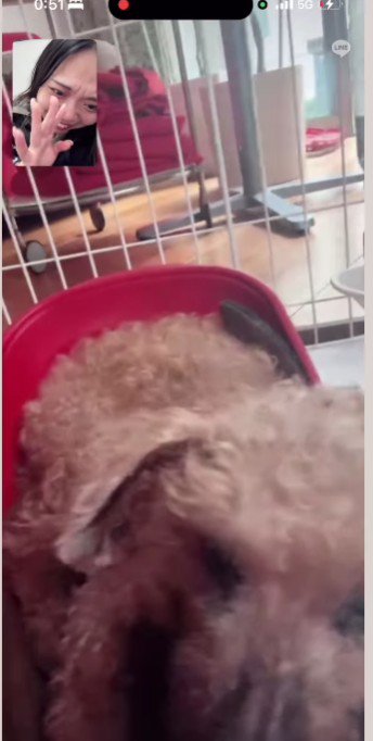 投稿主さんの声を聞いて…