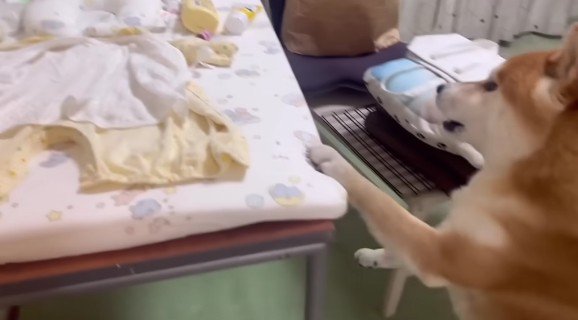 「なんでいないの！！」