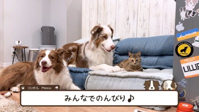 みんなでゆっくりひとやすみ