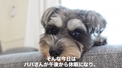 急にパパさんが帰って来ることに