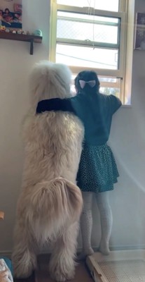 肩を組むように立つ女の子と犬