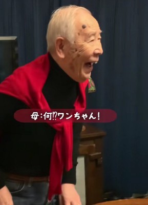 「わんこがいる!!」